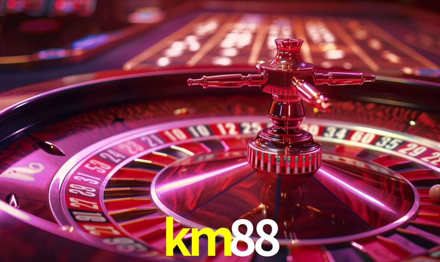 Programa VIP km88